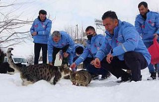 Öğretmenler, kış günlerinde yürekleri ısıttı