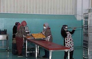 Oğuzelili kadınlar kurutulmuş meyve ihracatı hazırlığında