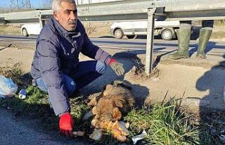 Ölmek üzereydi, ambulans şoförünün dikkati sayesinde...