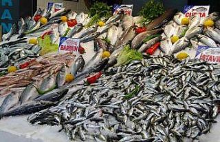 Olumsuz hava balıkçıları vurdu, fiyatlar yükseldi