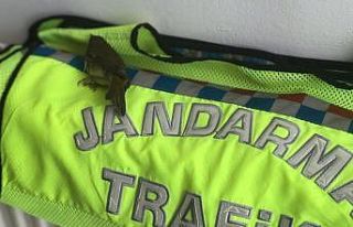 Önce donmaktan kurtardılar sonra elleri ile beslediler