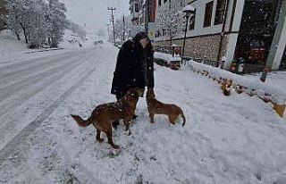 Onlar itfaiyenin neşe kaynakları