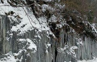 Ordu’da donduran görüntü