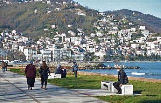 Ordu’da kış mevsiminde yalancı bahar