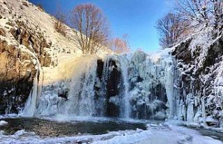 Ordu’da şelale buz tuttu