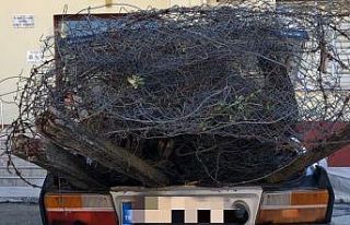 Osmaniye’de bağ, bahçe ve tarladan hırsızlık...