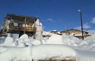 Ovacık’ta evler kara gömüldü