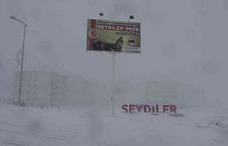 Öz çekim yaparken sokak köpeklerinin saldırısına...