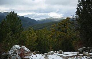 (ÖZEL) Akdağ Tabiat Parkı’nda muhteşem kış...