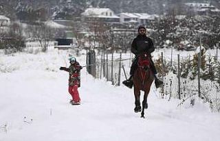 (Özel) Atla dolu dizgin snowboard keyfi