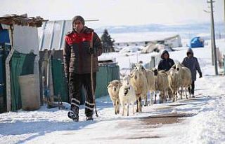 (ÖZEL) Besicilerin zorlu hava koşullarındaki amansız...