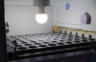 (ÖZEL) Görme engelli mesai arkadaşının hayalini...