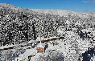 (Özel) Kazdağları adeta gelinlik giydi
