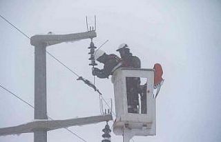 (ÖZEL) OEDAŞ çalışanlarının bin 200 rakımda...