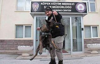 (Özel) Operasyonların gizli kahramanı ’dedektör...