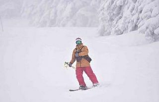 (Özel) Uludağ’da bu otele gelen hayvanlar 5 yıldızlı...