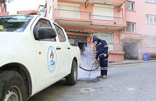 Pamukkale Belediyesi sivrisinekle mücadelesine başladı