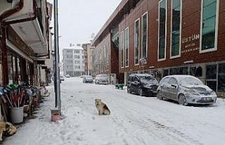 Pazaryeri ilçesi kar altında bir başka güzel