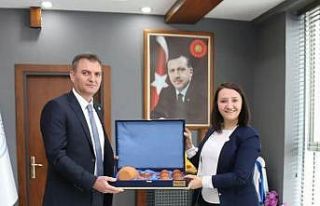 Pazaryeri’nde ormanlar konusundaki projeler değerlendirildi