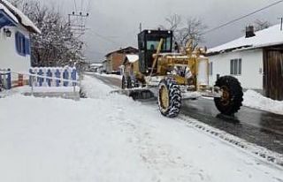 Pazaryeri’ni Bursa’ya bağlayan Ahı Dağı’nda...