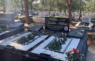 PKK renkleriyle süslenen mezarlıktaki renkli taşlar,...