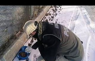 Polis ekipleri yaban hayvanlarını unutmadı