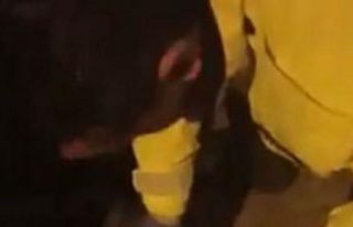 Polis ekiplerinin dikkati yavru kediyi ölmekten kurtardı