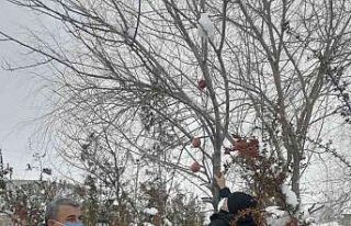 Polis yaban ve sokak hayvanları unutmadı