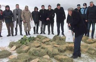 Pütürge’de yaban hayvanları unutulmadı