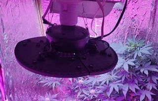 Rezidansta uyuşturucu üretim düzeneği hazırlayan...