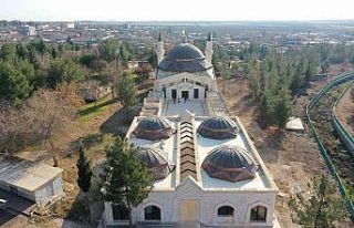 Sabır evlerinde ağaçlandırma çalışması başlatıldı