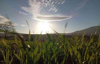 Sağlam: "Tarımsal sanayimizi katma değeri...
