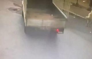 Sahipli köpeği kamyonetle çaldılar