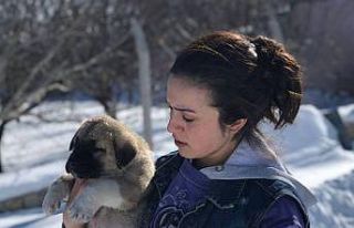 Sahipsiz köpeklere baba ile kızı sahip çıktı