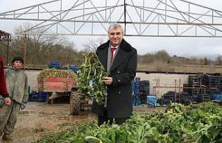 Sakarya tarımına ivme katacak projede sona gelindi