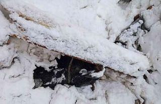 Salıpazarı’nda ahır çökmesi sonucu hayvanlar...