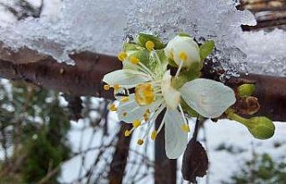 Samsun’da yağan kar kartpostallık görüntüler...