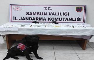 Samsun’da zehir tacirleri ile mücadele: Çok sayıda...
