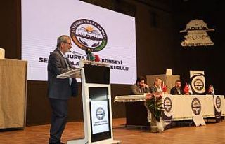 Şanlıurfa kent konseyi başkanını seçti