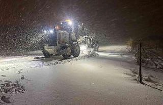 Şanlıurfa’da kar alarmı