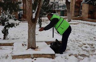 Şanlıurfa’da sokak hayvanları unutulmadı