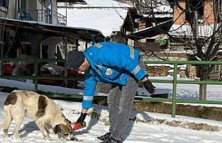 Şaphane İlçe Tarım ve Orman Müdürlüğü sokak...