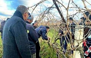 Sarıgöl’de bağ budama kursu açıldı