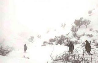 Sason’da karda kaybolan keçiler için köylüler...