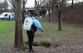 Şehir genelinde ilaçlama, mıntıka ve çevre temizliği...