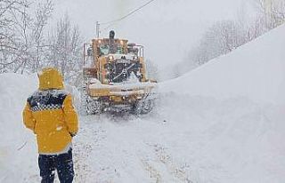 Şemdinli’de rahatsızlanan hasta için seferberlik