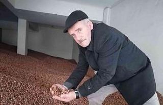 Serbest piyasada fındık fiyatı 35 lira