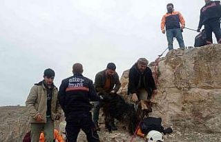 Siirt’te kayalıklarda 14 gündür mahsur kalan...
