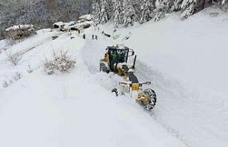 Sinop’ta karla mücadele: 300 köy yolu kapalı
