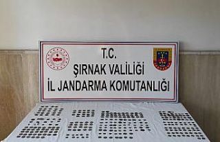 Şırnak’ta çok sayıda tarihi eser ele geçirildi:...